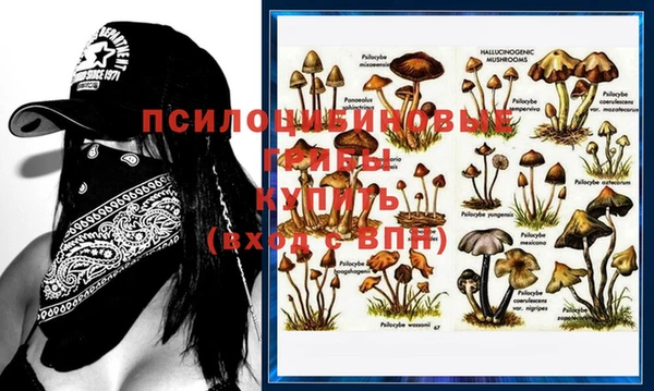 ПСИЛОЦИБИНОВЫЕ ГРИБЫ Беломорск