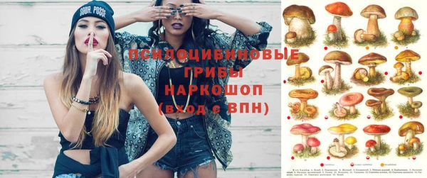 таблы Белокуриха