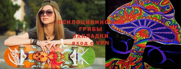 таблы Белокуриха