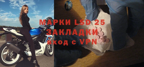 ПСИЛОЦИБИНОВЫЕ ГРИБЫ Беломорск