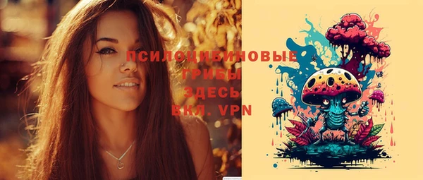 ПСИЛОЦИБИНОВЫЕ ГРИБЫ Беломорск