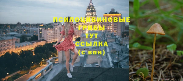 ПСИЛОЦИБИНОВЫЕ ГРИБЫ Беломорск