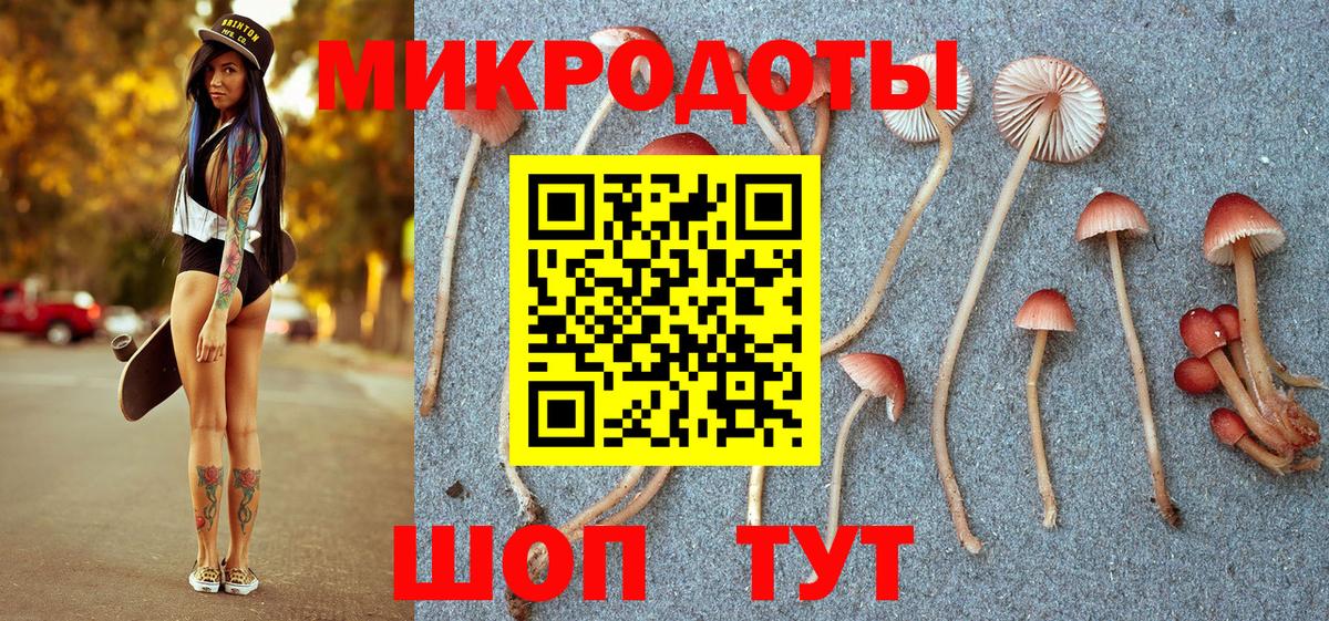 Галлюциногенные грибы прущие грибы Маркс